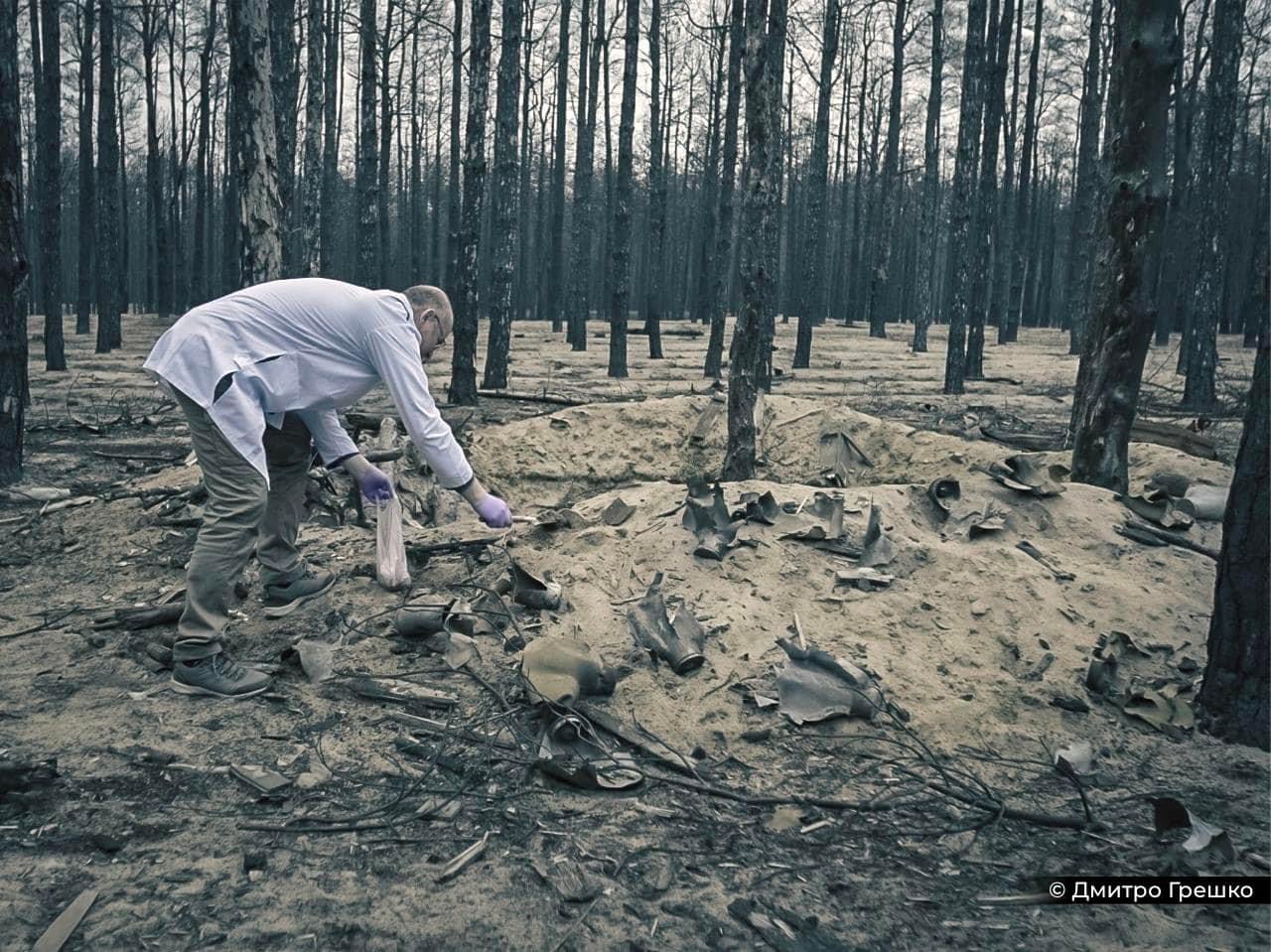 30% лісів України постраждали через російську агресію